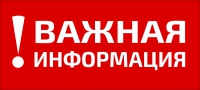 Об участии обучающихся в полуфинале Всероссийского конкурса "Большая перемена" (Шаблон доверенности на сопровождение)